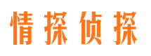 红山侦探调查公司